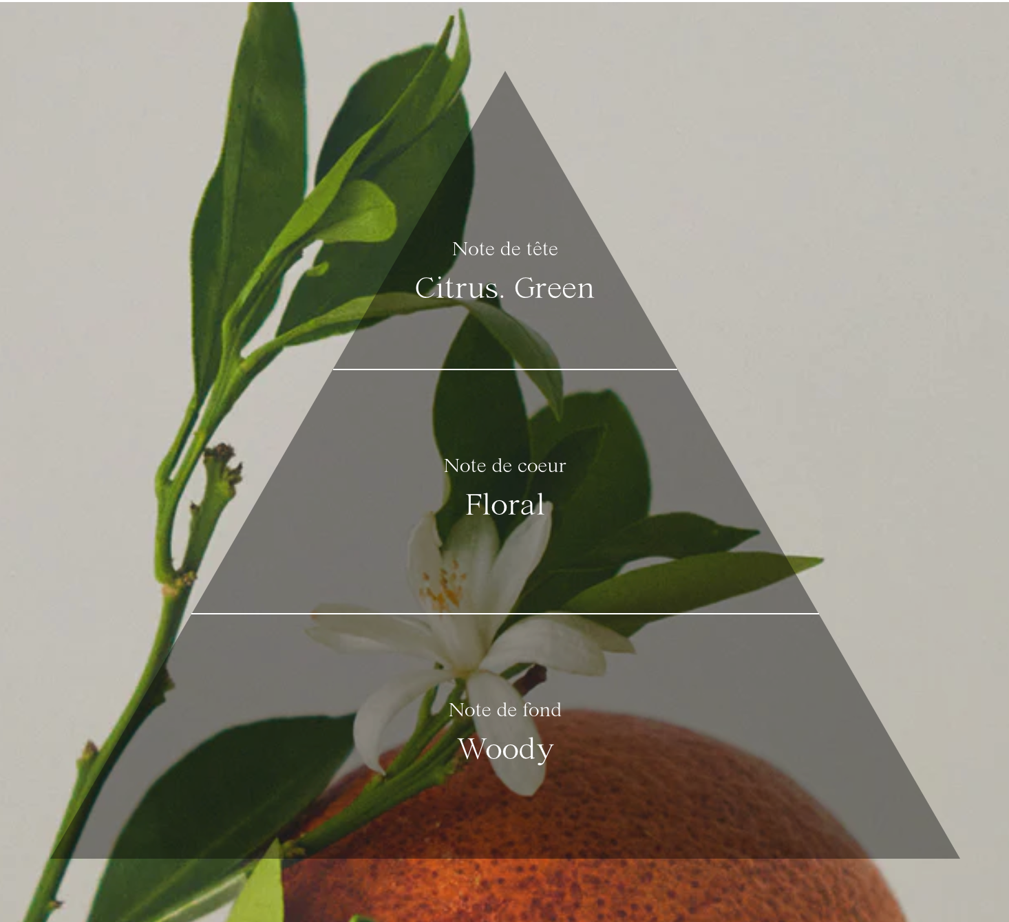 ドライボディオイル(ル・シュド・ラ・ニュイ)