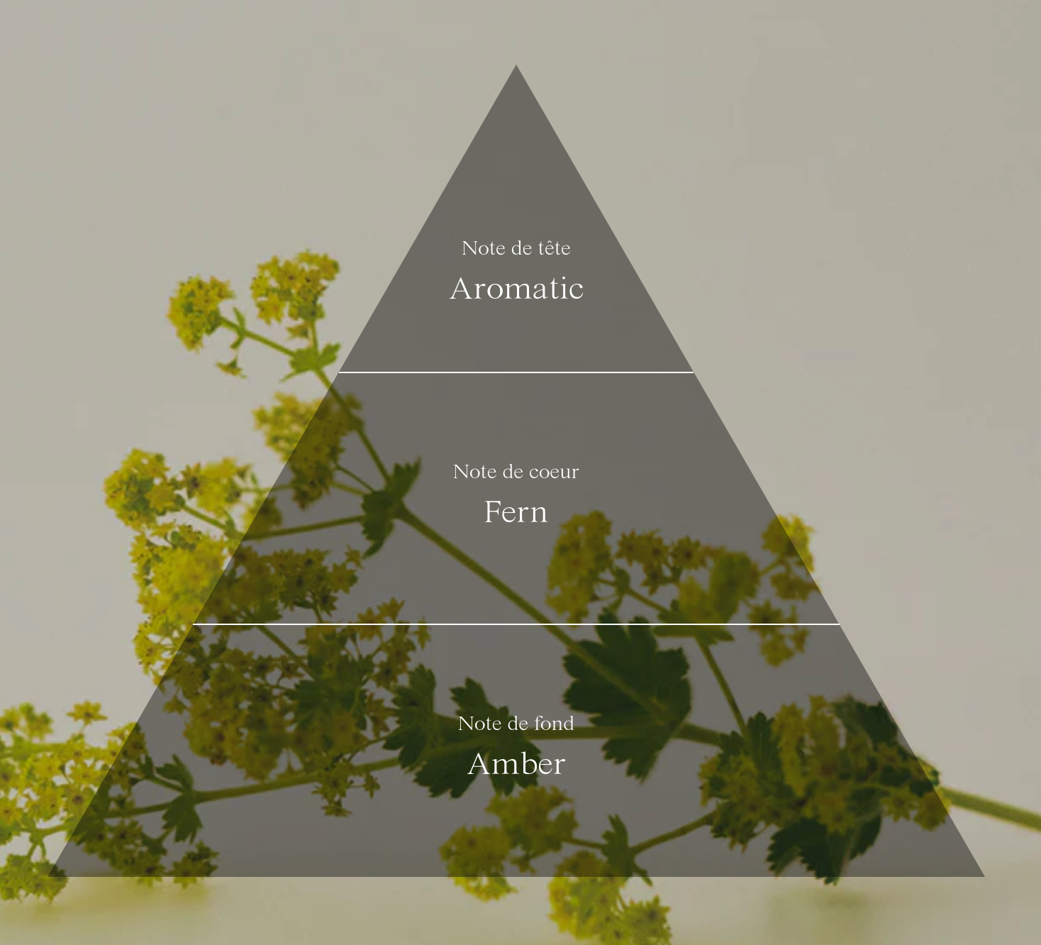 センティッドソープ(アンドロジン・ラプソディ)