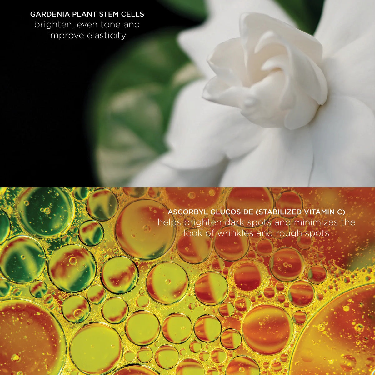 Re:generative™ Super Power Vitamin C Serum